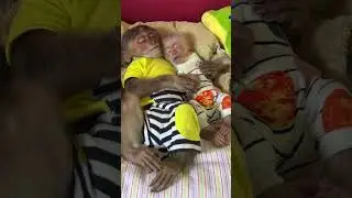 Baby monkeys hug each other and sleep so cutely #cutemonkey #monkey #animal   #monkeysmart
