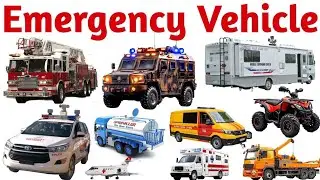 Vehicles Name 🚨🚑🚒 | 20 Emergency Vehicles | Preschool & Toddlers learning video
