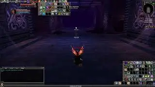 DDO, Rahadin R1 dps check (debuffer ranger)