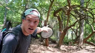 B-Tier in one of the MOST WOODED COURSES IN ARKANSAS