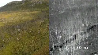 RPAS SAR detection range testing - open and wooded terrain