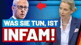 Alice Weidel liest Merz die Leviten❗️ - AfD-Fraktion im Bundestag