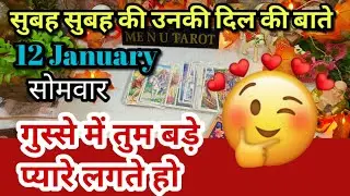 January 12, 2026 TODAY'S HINDI TAROT READING 😍 CURRENT FEELINGS 🤩 MORNING FEELINGS 💕 LOVE READING 💕