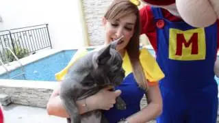 ¡Perrito Sorpresa! - El Show de Bely y Beto