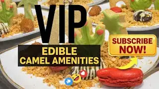 VIP Edible Saudi Camel race team Amenities 🐫|BeeLabna