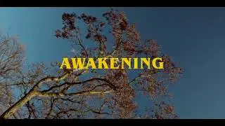AWAKENING - Das Rheintal bei Bonn erwacht | Filmed by Lars Jung