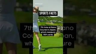 What&rsquo;s your favorite Sport? Let me know in the comments👇#shorts #shortsvideo #fyp #subscribe #viral