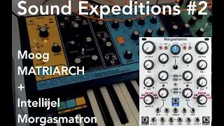 Sound Expeditions #2: DaFunk &ndash; make Moog Matriarch scream with Intellijel Morgasmatron(MS-20 style)!