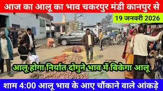 आज का आलू का भाव चकरपुर मंडी कानपुर से शाम 4:00 आलू भाव के आए चौंकाने वाले आंकड़े Aalu Ka Bhav