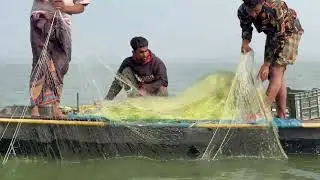 Fishermen fishing video