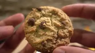 Sch&auml;r gluten Free choco chip cookies