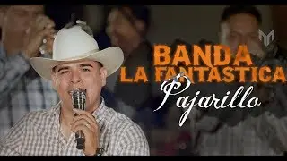 Pajarillo 