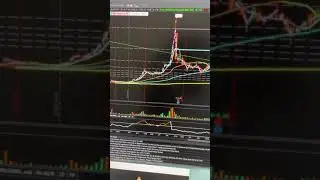 TLRY Stock Update: I am Buying the DIP, Every DIP. LFG! #Shorts