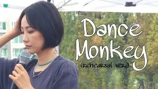 230915 핫펠트 HA:TFELT - Dance Monkey (rehearsal ver.) | 피크닉 라이브 소풍