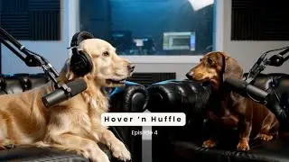 The Bark Side Podcast | Ep 04: Hover 'n Huffle