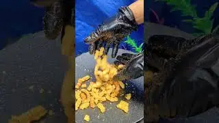 ASMR Snack K.Ja'at Crumble & Crunchy Snack #asmrindonesia #asmrsnack #relaxingsounds