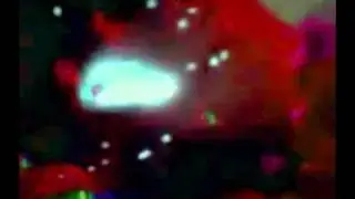 Aldous Huxley -  Visi&oacute;n  Nemul