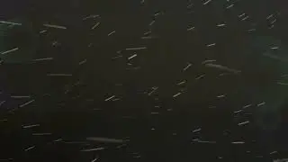 sash. - hooson 