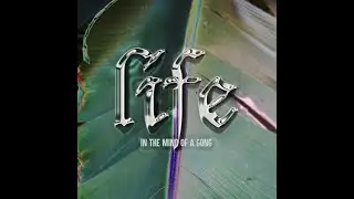 Life in the Mind of a Gong
