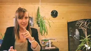La généralisation des comportements chez le perroquet / Monter sur la main et retourner dans sa cage