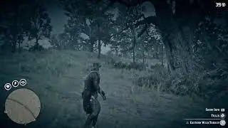 Rdr2 Insane platinum Grind Exotic  Hunts