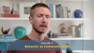 Эпизод 4: Поведение как коммуникация