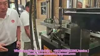 Biodegradable Rice Husk Fiber Plant Corn Starch PLA Plastic Food Box Making Machine Container Tray