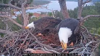 Jan 5, 2026 | Still Working as Dusk Nears 🦅