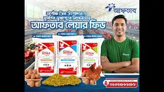 AFTAB Magic Layer Feed