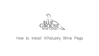 Installation Tutorial - VINdustry Wine Pegs
