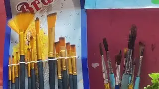#my#new#painting❤️#brushes#review#sanayapaintdreams#amazin🥰😍😊😘g#youtubeshorts#viralshorts#stationary