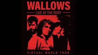 Wallows - I'm Full // Live At The Roxy