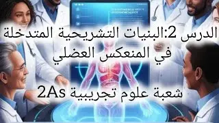 درس 2:البنيات التشريحية المتدخلة في حدوث المنعكس العضلي ✨ السنة الثانية ثانوي شعبة علوم تجريبية ✨