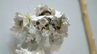 Rachel Howard | Artist Exhibition Video Recap