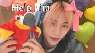 Stray Kids being chaotic for 7 minutes and one second