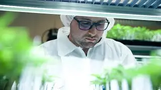 Video Production | Aurora Cannabis's Corporate Purpose (2025)