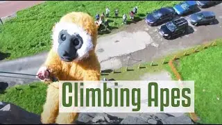 Climbing Apes