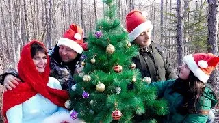 OpenPhoto