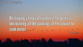 🏹 Top 20 Quotes of E. O. Wilson - Biologist