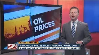 Oil prices forcast to stay low until 2017