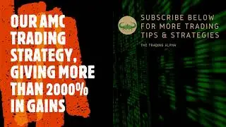 Our AMC Trading Strategy, more than 2000% GAINS.