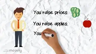 rise vs raise