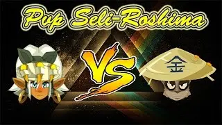 [DOFUS] *Seli-roshima* Roublard 200 VS Panda 200