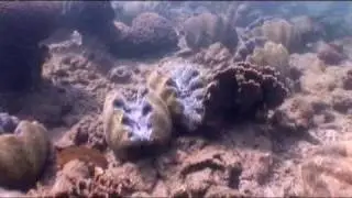 Marine Ecology Research Centre (MERC)
