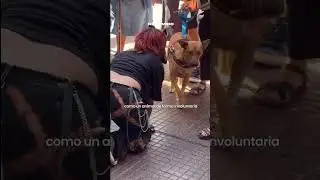 Un therian fue fuertemente atacado por un perro.‼️🐶