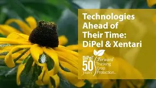 Technologies Ahead of Their Time: DiPel and XenTari