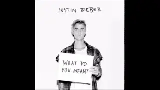 Justin Bieber What Do You Mean Lyric video (Read description)