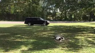 2001 GMC Yukon Denali