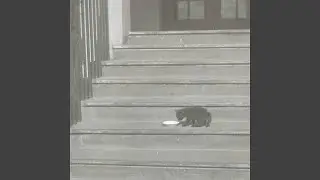 impatient