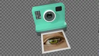Polaroid Overlay